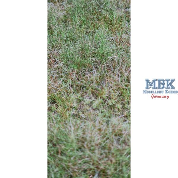 hagermann-hh-hgwh0225-grasmatte-herbst-din-a4 image 2