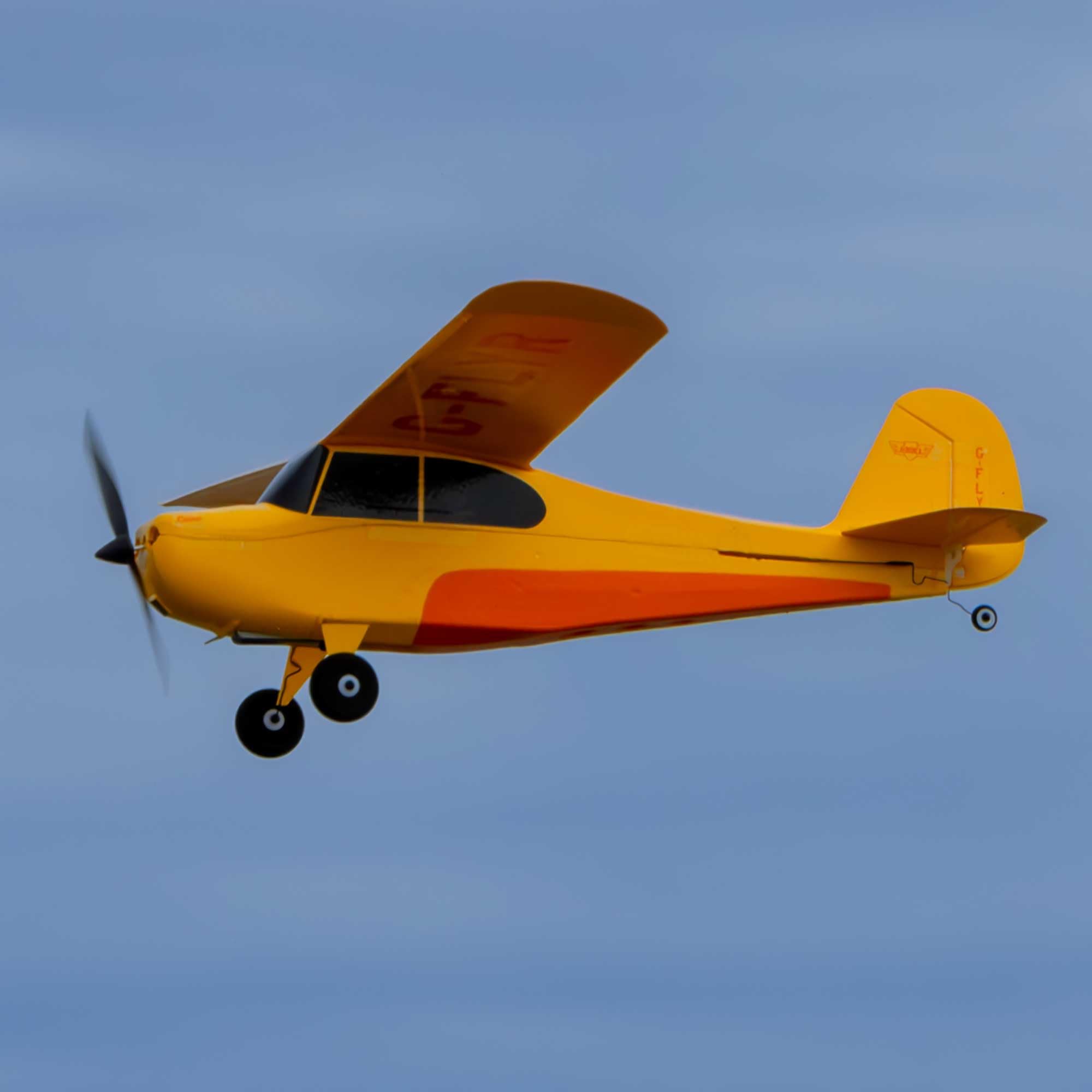 hobbyzone-champ-anniversary-515mm-rc-flugzeug-bnf-basic image 2