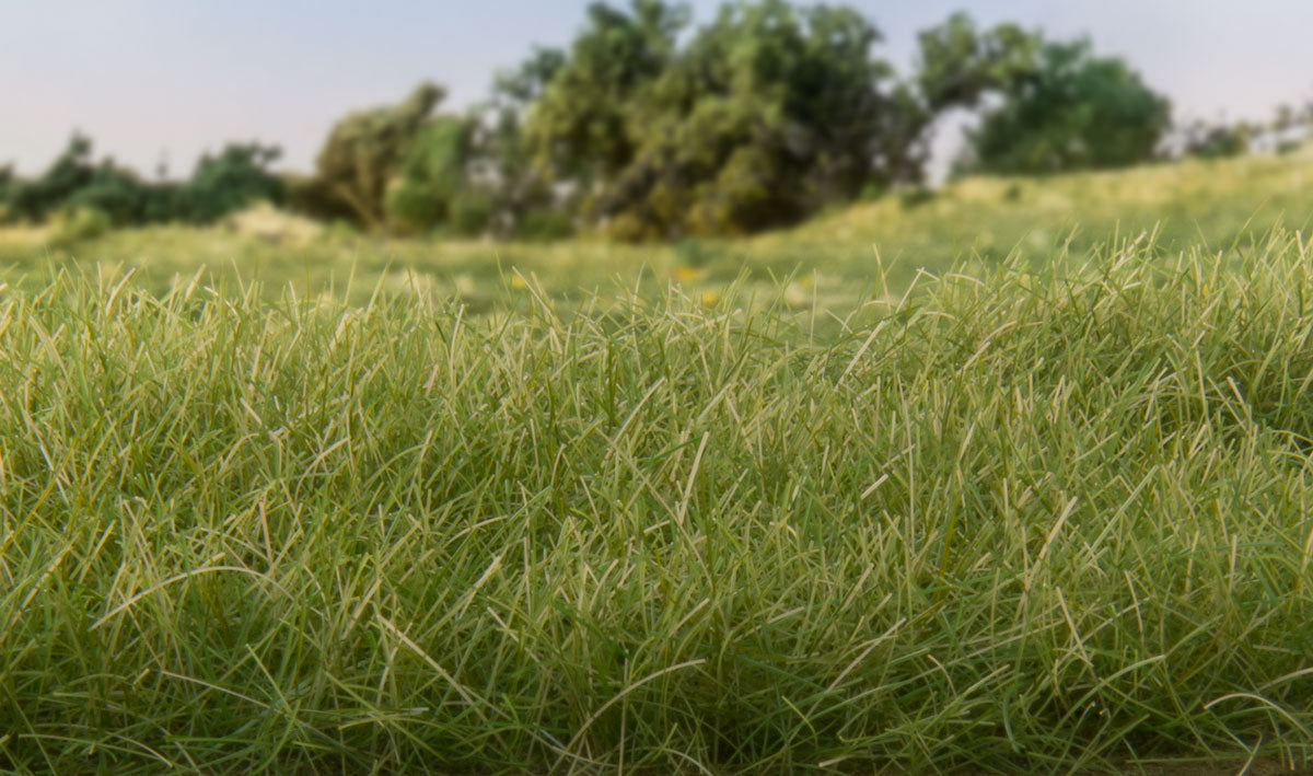 woodland-scenics-fs622-static-grass-medium-green-streugras-7-mm image 1