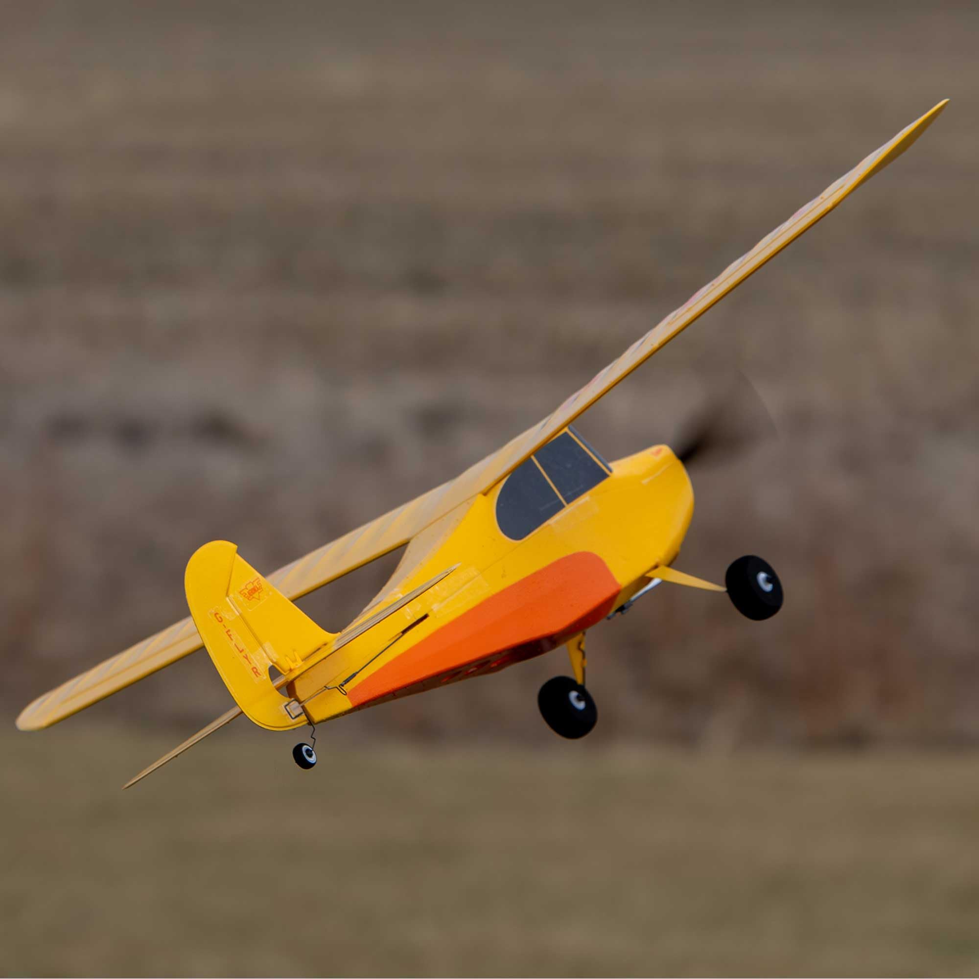 hobbyzone-champ-anniversary-515mm-rc-flugzeug-bnf-basic image 3