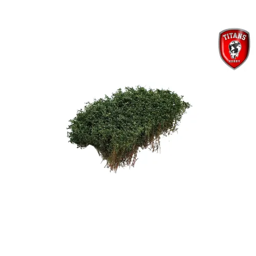 titans-hobby-207-buschwerk-diorama-15x15-sommer-dunkelgr-n image 1