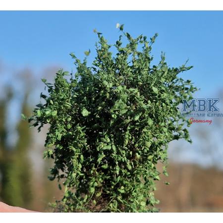 hagermann-hh-hgbg0324-b-sche-hecken-mittelgr-n-6-st-ck image 1