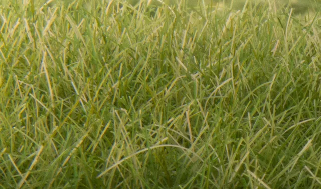 woodland-scenics-fs626-static-grass-streugras-12-mm-mittelgr-n image 1