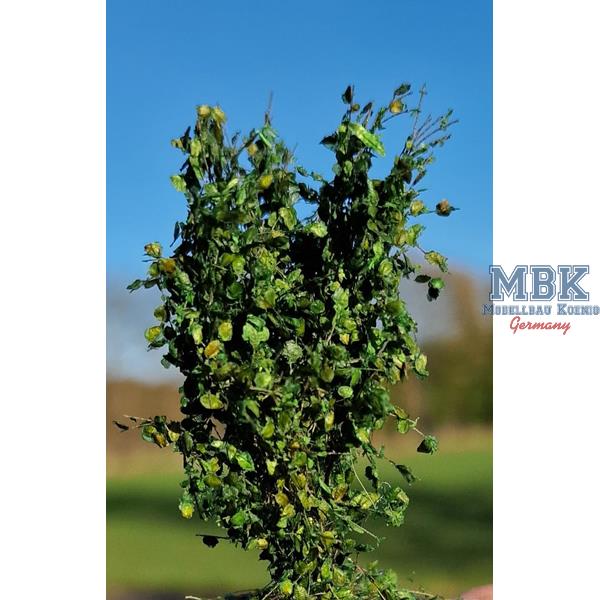 hagermann-hh-hgbb0124-b-sche-hecken-gr-n-40-60-mm-6-st-ck image 1