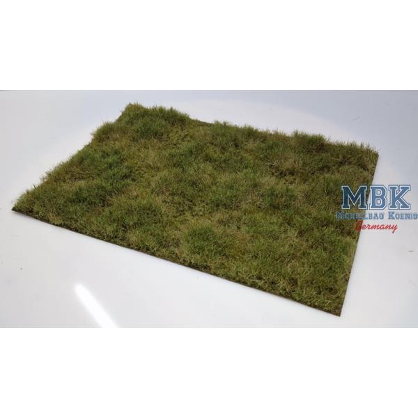 hagermann-hh-hgwh0225-grasmatte-herbst-din-a4 image 1