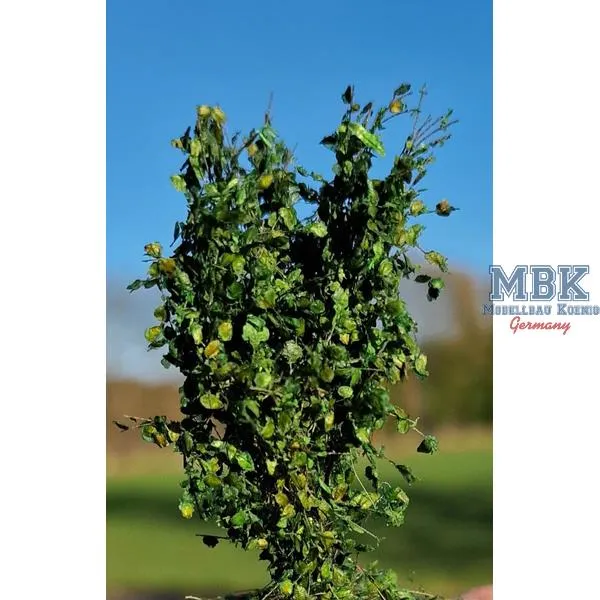 hagermann-hh-hgbb0124-b-sche-hecken-gr-n-40-60-mm-6-st-ck image 1