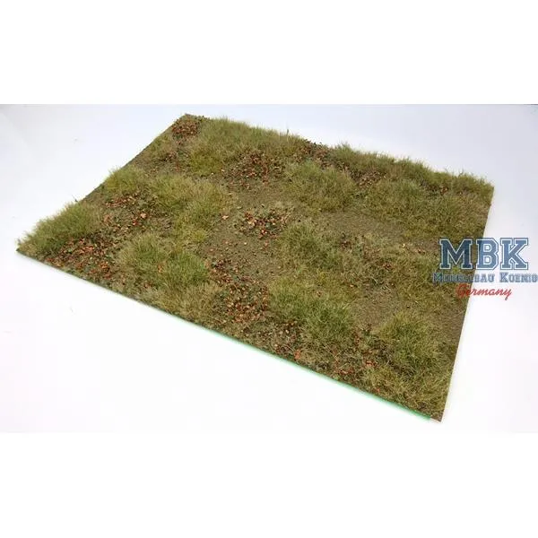 hagermann-hh-hgwh0224-autumn-field-path-grasmatte-1-35-a4 image 1